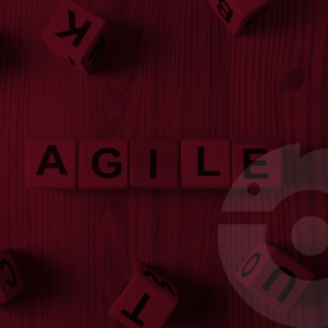 Gestão Ágil de Projectos